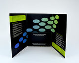 A4+ 6 Panel Folder - Folder Printing Direct